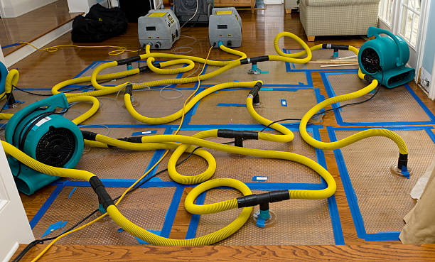Professional Emergency Water Removal technician working in Loma Mar, CA